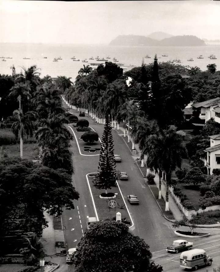 Avenida Federico Boyd en 1961.